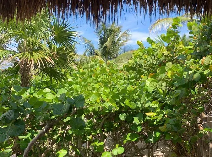Casa-laha * Tulum